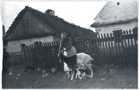 Hungarian peasant woman with goat in front of smallholder's farmhouse