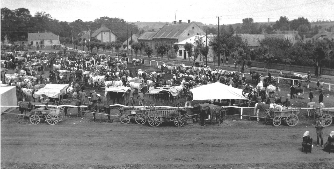 Market scene in downtown Marcali Hungary in 1928
