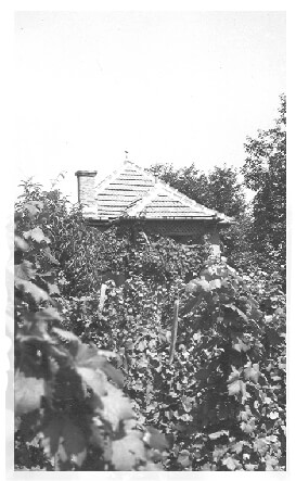 A view of Fábos vineyard farm shack in 1940