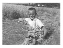 Gyula helping with the hay harvest in 1941