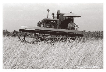 Wheat harvest with a combine on a state farm in Hungary in the 1950s
