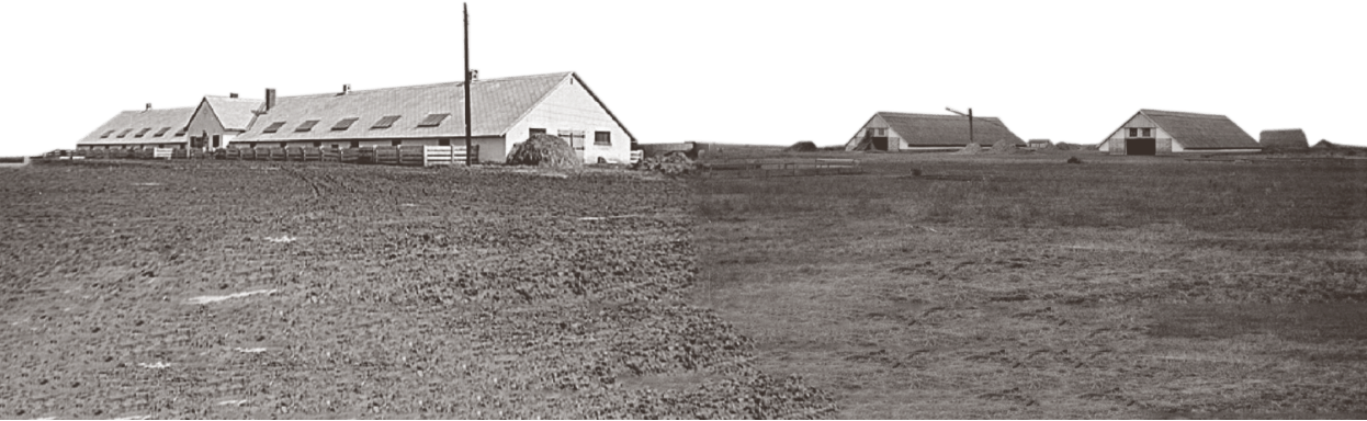 New collective or state farm buildings in Hungary around 1950