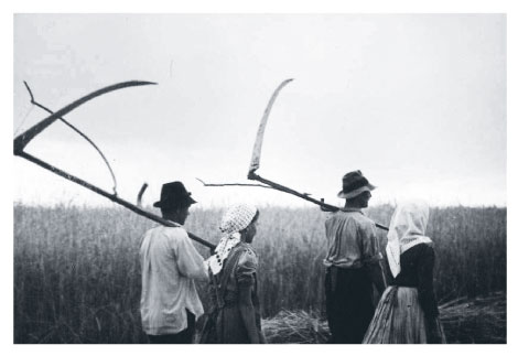 Field workers with scythes in Hungary 1935