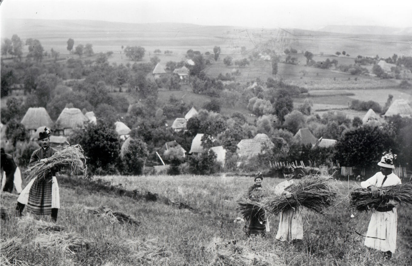 Peasants during harvest