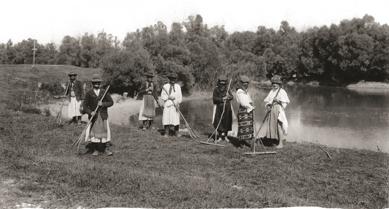 Peasant workers making hay