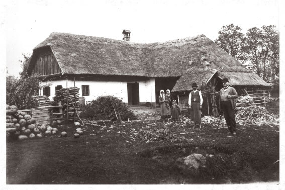 Hungarian house with chimney