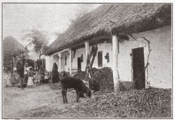 A desolate farm in Central Europe