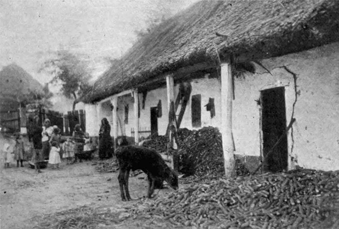 Desolate farm in Central Europe in 1918