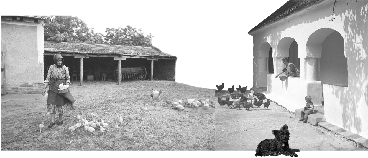 Composite image of a courtyard scene on a family farm in rural Hungary
