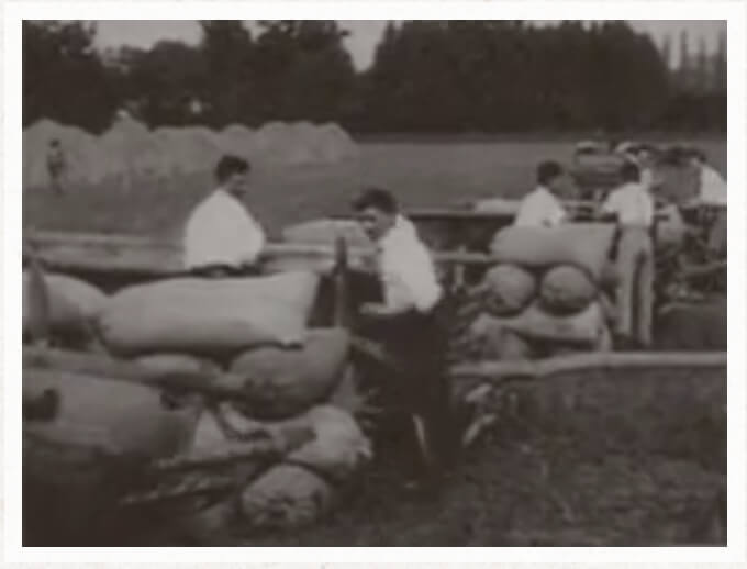 Hungarian farmers hauling grain around 1930