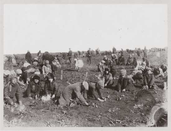 Children digging up frozen potatoes on a Russian collective farm in 1933