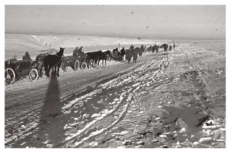 Winter on the Eastern Front in 1942