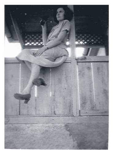 Ari sitting on a barn ledge in the family farmyard