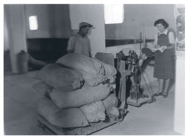 Weighing grain during the Rákosi era
