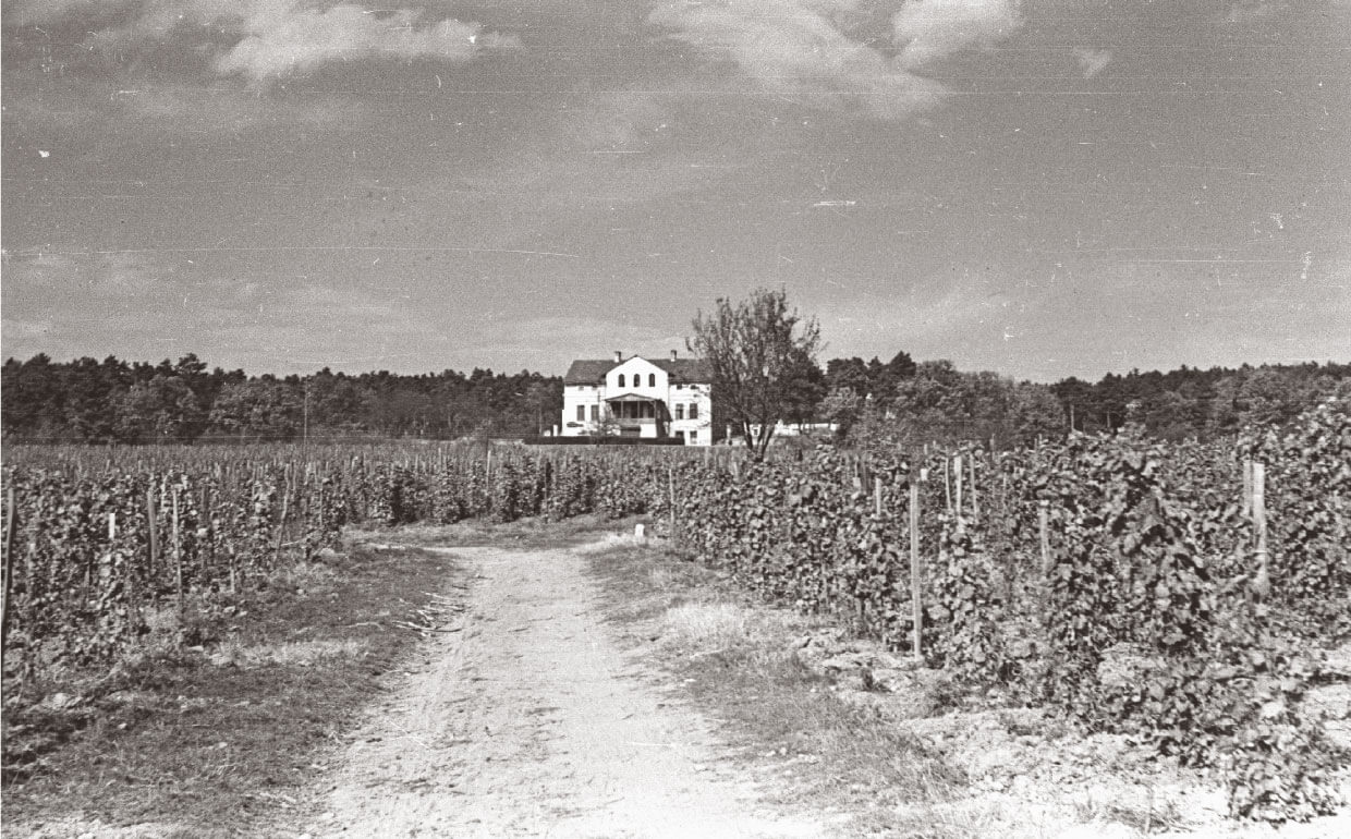 Balatonakali Estate and castle near Lake Balaton in Hungary