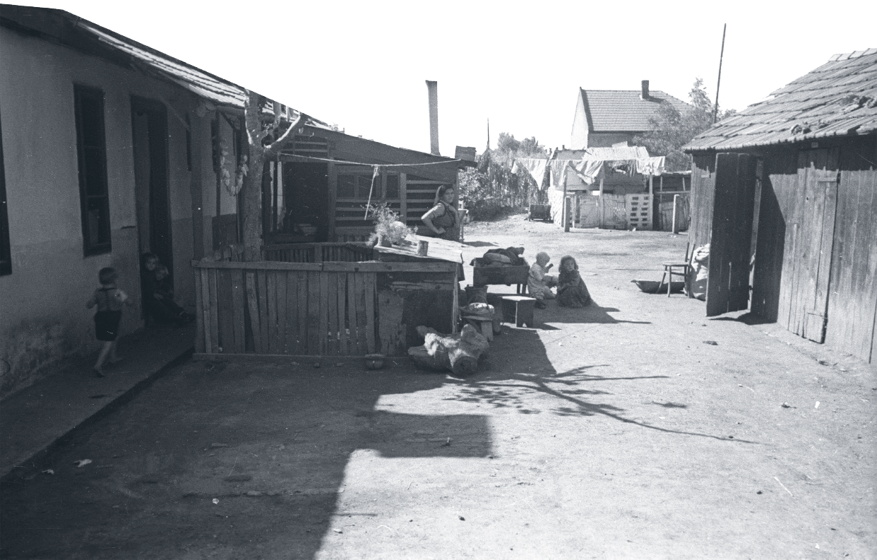 Farmhouse courtyard in Hungary in 1953