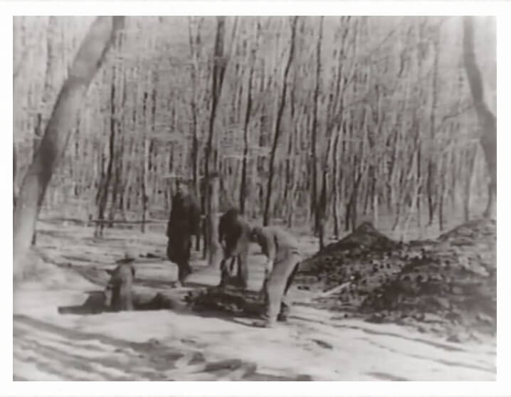 Four members of a work crew digging a large hole in a forest