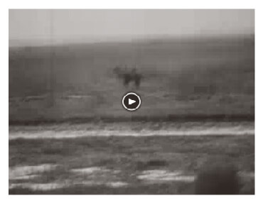 Looped video footage showing six Hungarian refugees fleeing through a field towards the border