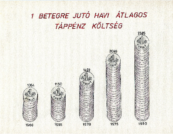 Ari infographic no. 5 visualizing Average Sick Pay for One Person for one Month