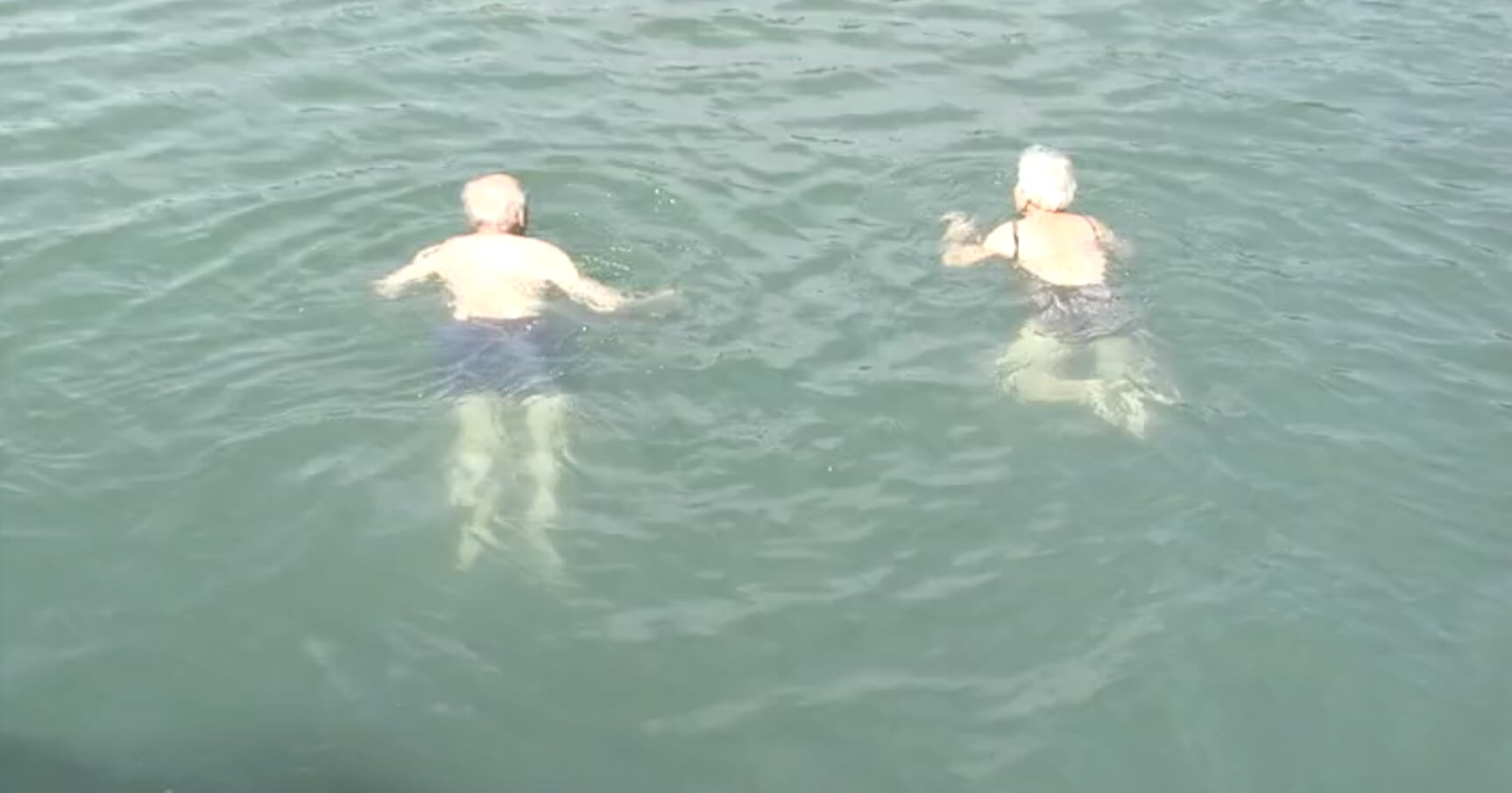 Gyula and Ari swim side by side in the Héviz thermal lake in 2005