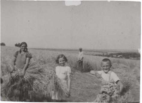 Ari and Gyula tending the fields overlooking Lake Balaton in Hungary 1940s
